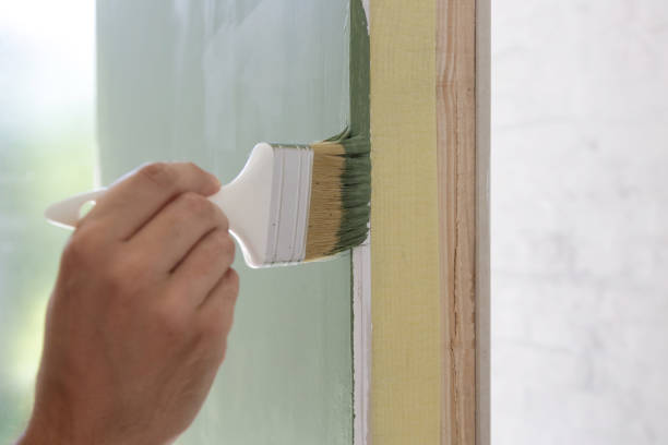 Best Attic Mold Removal  in Plattsburgh West, NY
