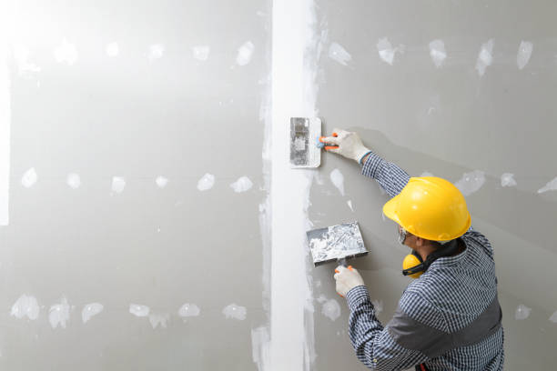 Best Real Estate Mold Inspection  in Plattsburgh West, NY