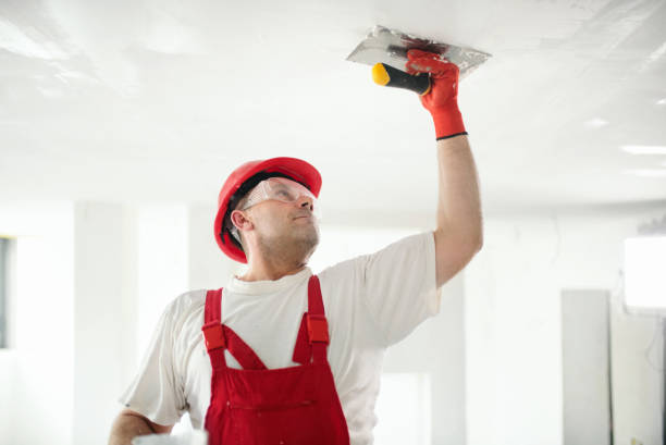 Best Mold Prevention Services  in Plattsburgh West, NY