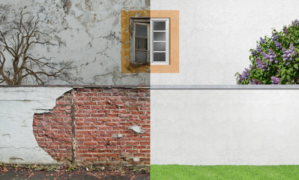  Plattsburgh West, NY Mold Removal Pros
